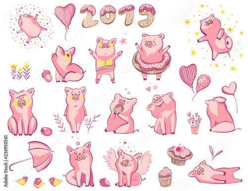 Funny pig set. Isolated on white. Cute vector illustration. Symbol of the year in the Chinese calendar.