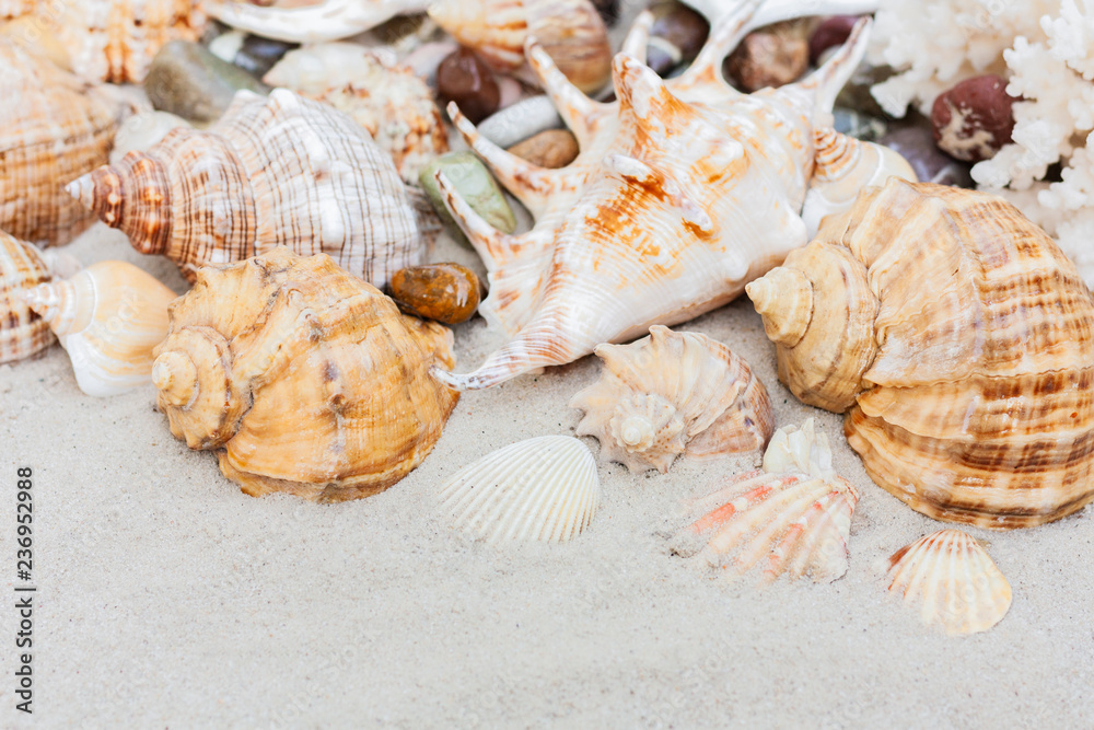 Thailand beach summer background – seashells and sea stars on the sand, copy space for text Thailand beach summer background – seashells and sea stars on the sand, copy space for text