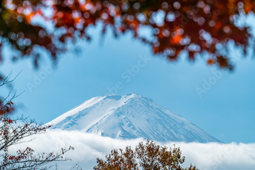 Beautiful Fuji san with autumn leaves