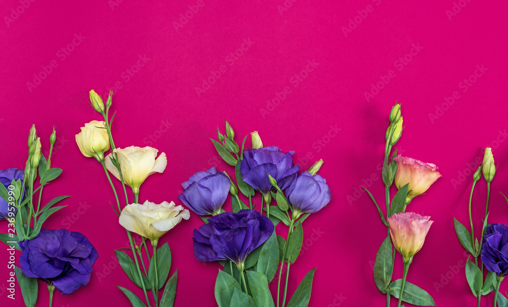 fresh blooming flowers Eustoma Lisianthus