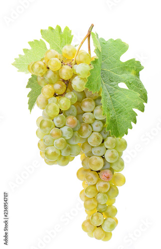 Grapes on a white background