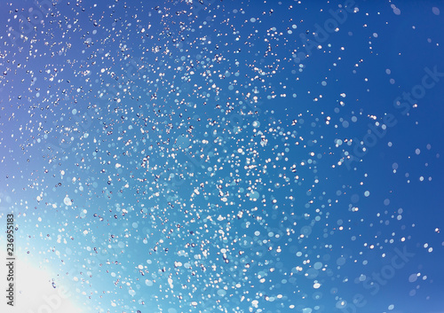 Winter landscape with falling snow. Winter christmas sky with falling snow © HolyLazyCrazy