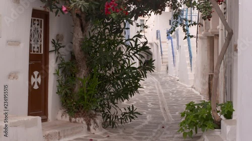 Tilt Up: A Quaint Cobblestone Street in Lefkes With Whitewashed Houses and Trees photo