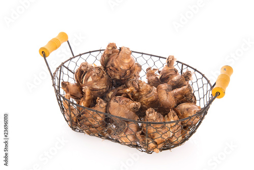 Fototapeta Naklejka Na Ścianę i Meble -  Flower bulbs daffodil in harvest basket