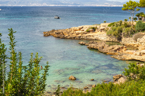 Fototapeta Naklejka Na Ścianę i Meble -  Mallorca in Balearic Islands, Spain. One of the most beautiful beach in the world with crystal clear turquoise waters and a wonderful paradise in the middle of the Mediterranean sea in Europe.