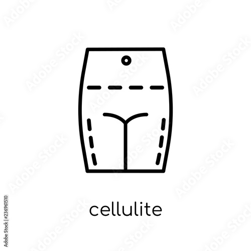 Cellulite icon. Trendy modern flat linear vector Cellulite icon on white background from thin line Human Body Parts collection