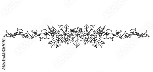 Graphic branch with grape leaves and curly elements