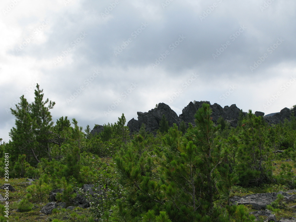 Nature Travel Landscape Nature Travel Landscape