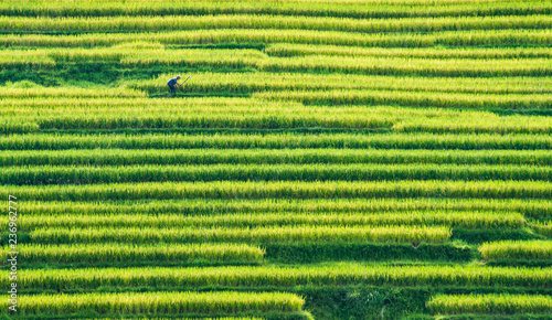 Guizhou rongjiang county farmland photo