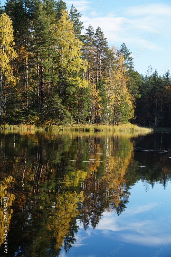 The beautiful autumn forest is reflected in the blue lake. The leaves of the trees are yellow and orange, green pine. Blue sky. The beautiful autumn forest is reflected in the blue lake. The leaves of the trees are yellow and orange, green pine. Blue sky.