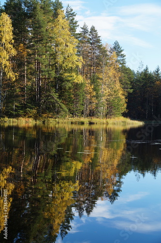The beautiful autumn forest is reflected in the blue lake. The leaves of the trees are yellow and orange, green pine. Blue sky.