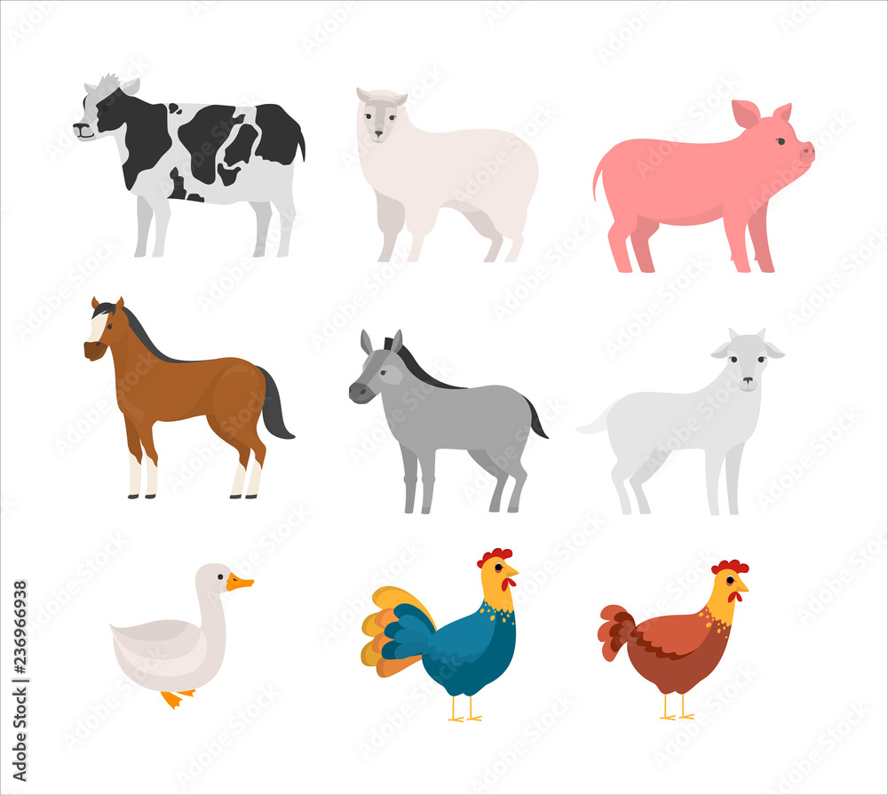 Set of farm domestic animal. Collection of cute pet.