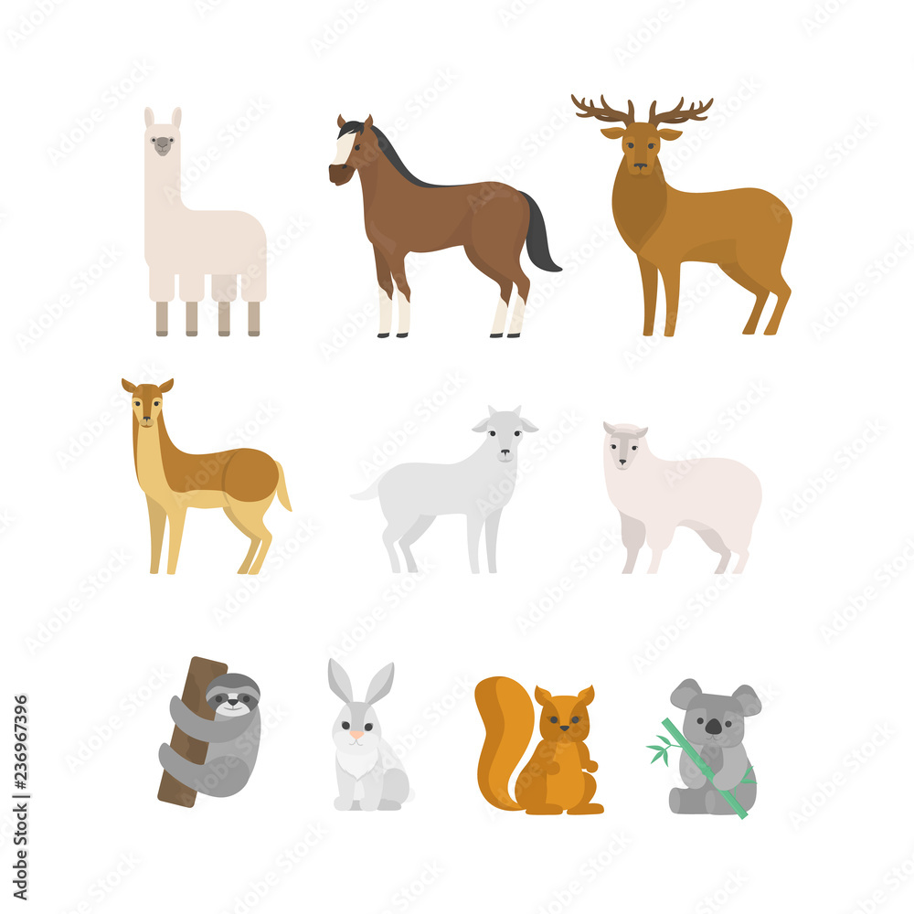 Fototapeta Herbivores animal set. Collection of mammal from forest