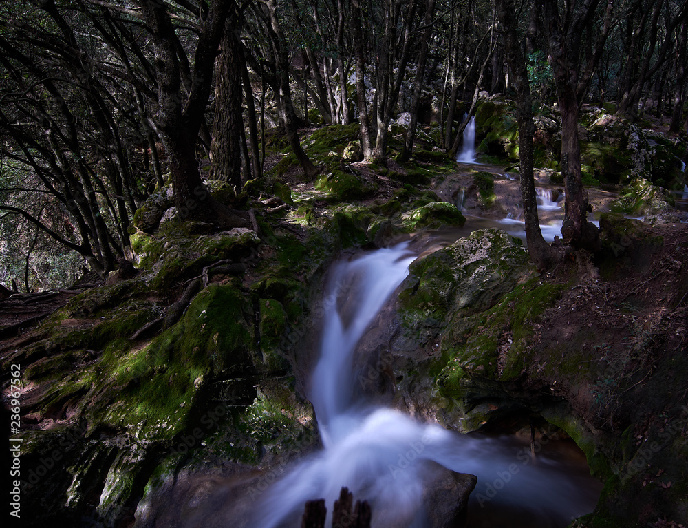 Fototapeta premium Natural waterfall of water in mediterranean forest. Spain. Balearic Islands