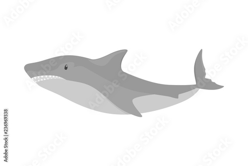 Dangerous fish shark