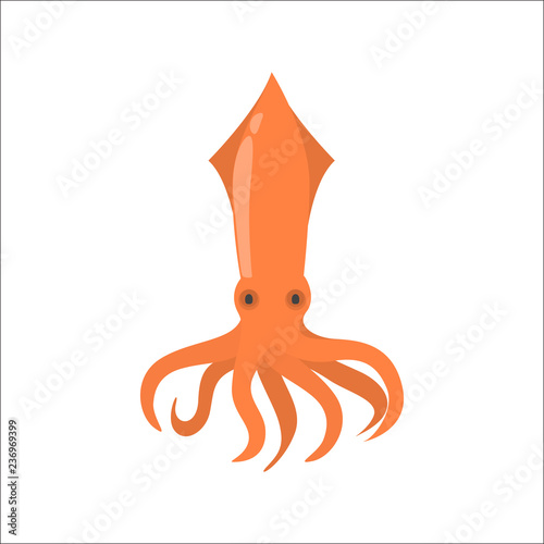 Red color squid animal from the sea