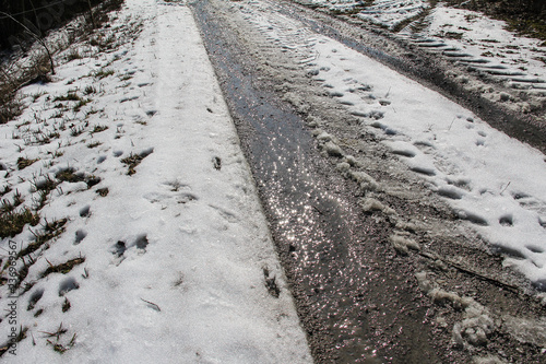 Dirty field road in the warm spring day