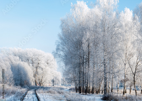 Winter frosty landscape in the early morning