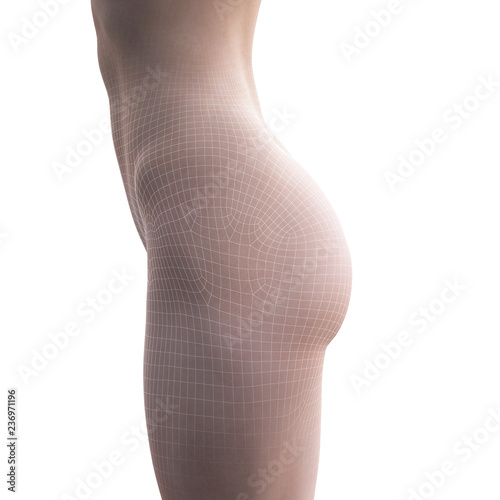 3d rendered illustration of a female bottom