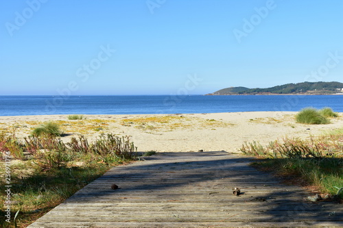 Fototapeta Naklejka Na Ścianę i Meble -  Beach with wooden boardwalk, golden sand and vegetation in sand dunes. Blue sea, sunny day, Galicia, Spain.