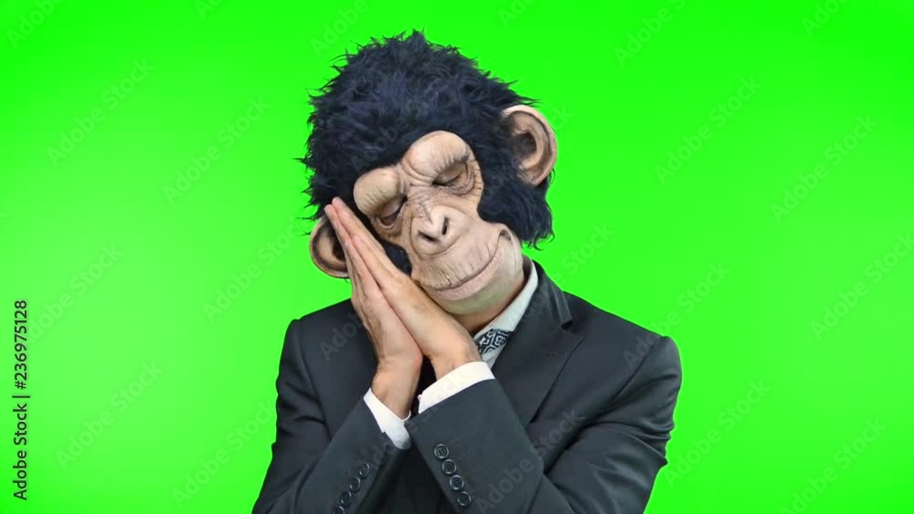 Monkey man on green screen chroma key background Monkey man on green screen chroma key background