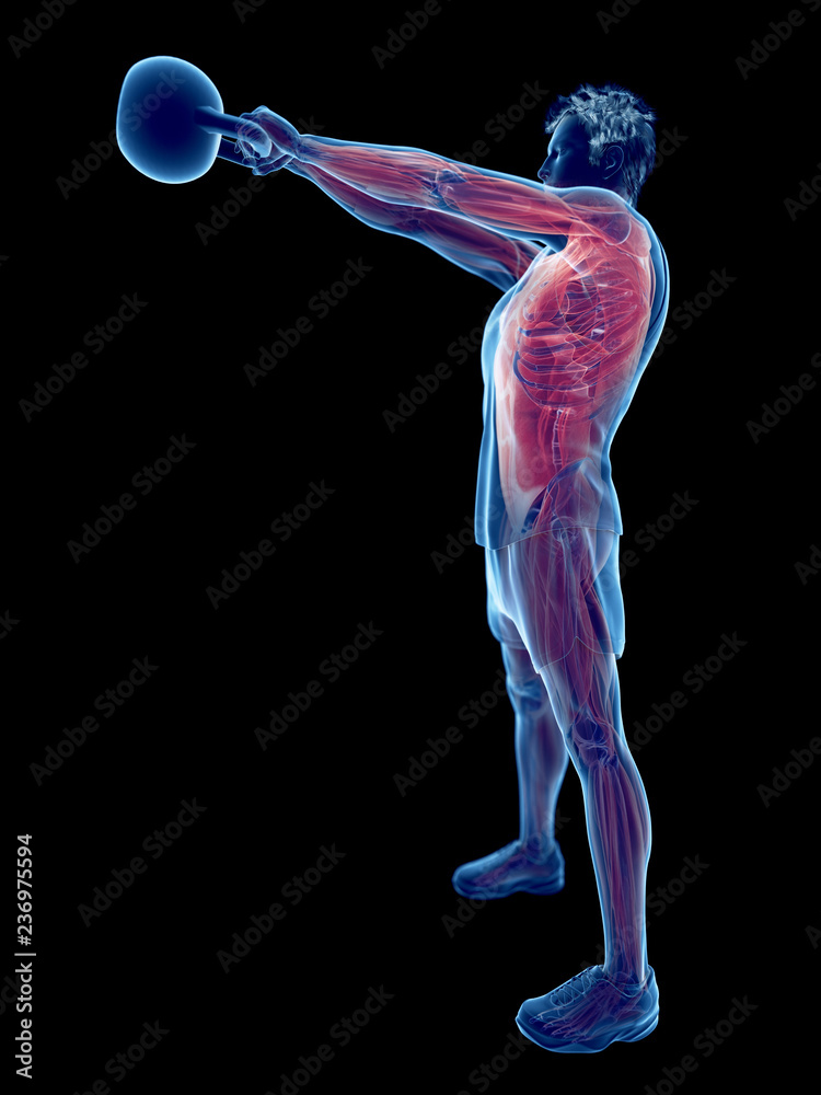 3d rendered medically accurate illustration of a man doing a kettlebell workout