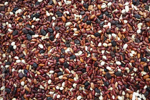 background of kidney beans