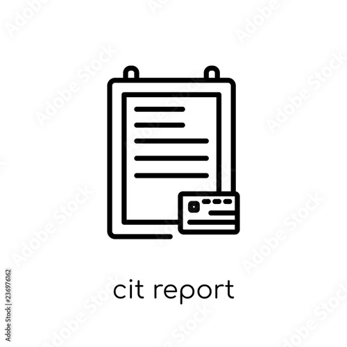 credit report icon. Trendy modern flat linear vector credit report icon on white background from thin line general collection