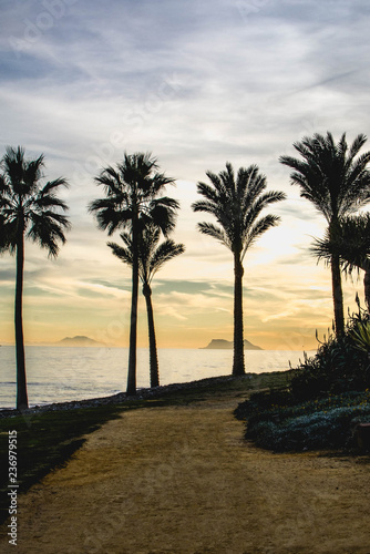 The view of Strait of Gibraltar between palm trees on the Mediterranean coast. Estepona. Costa del Sol. Spain