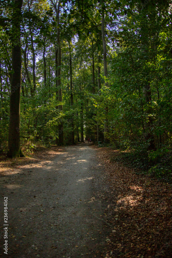 Fototapeta premium Strand