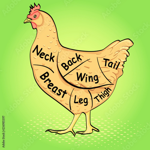 Pop art background, imitation of comics. Chicken for a restaurant menu, carcass split. Vector