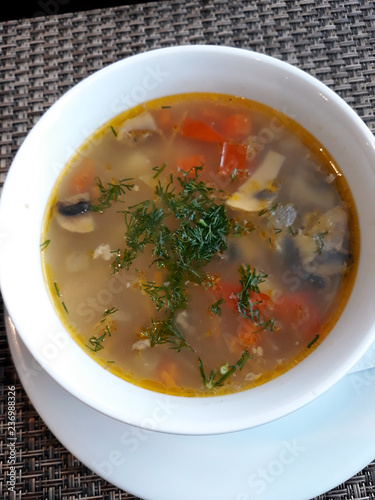 Healthy lunch. Mushroom soup with vegetables.