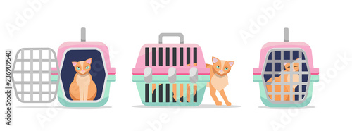 Set of three positions manual plastic carrying transporter for cats on white background. Cat carrier front view, side view, with the open and closed door. Flat cartoon vector illustration