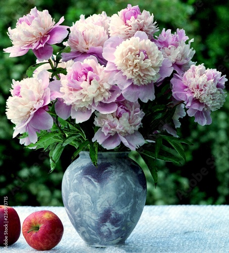 multicolored peonies and apples