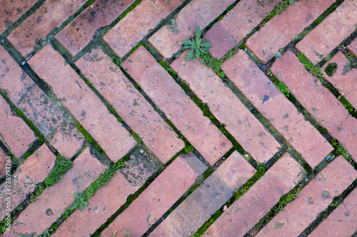floor bricks with green grass background