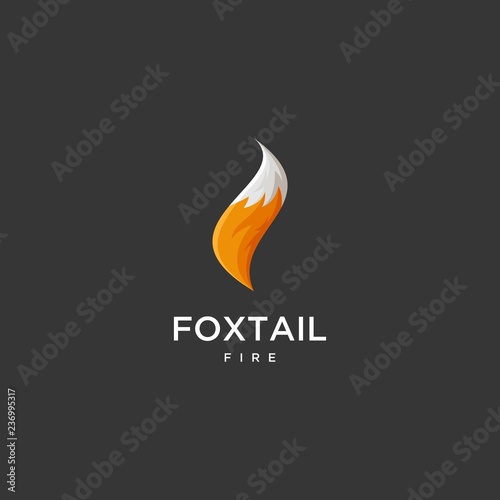 Fox tail Fire Logo design vector illustration