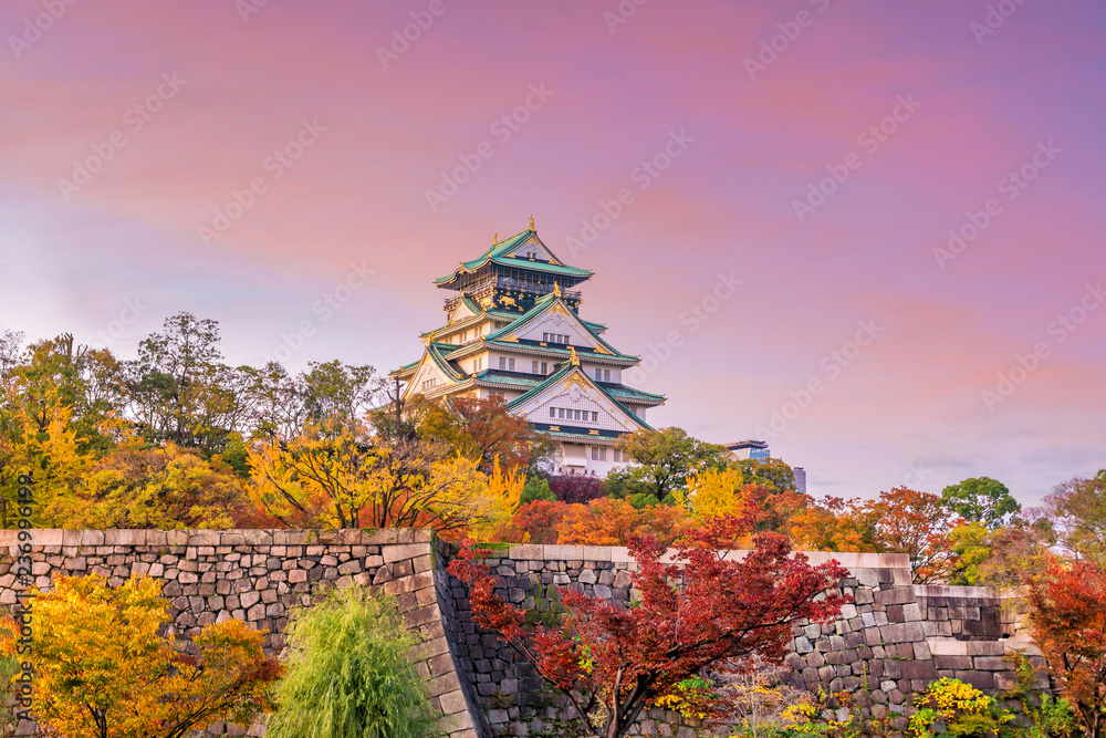 Naklejka premium Zamek Osaka w Osace w Japonii