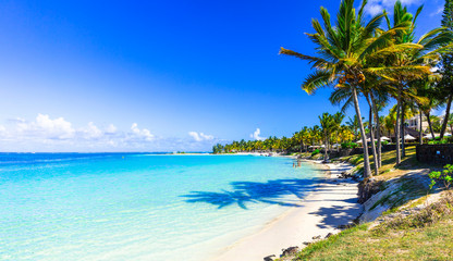 Fototapete Landschaften erstaunliche tropische Strandlandschaft. Insel Mauritius, Bel Mare  © Freesurf