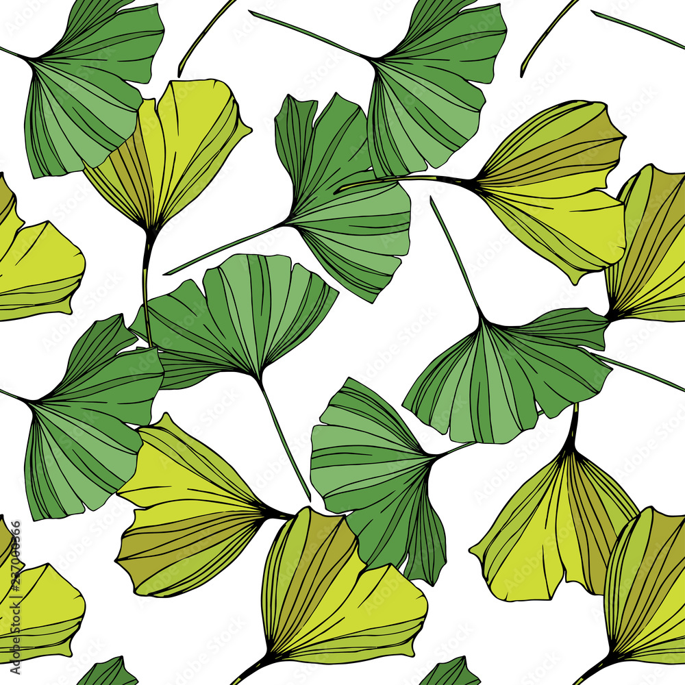 Vector. Green ginkgo leaf. Seamless background pattern. Fabric wallpaper print texture on white background. Vector. Green ginkgo leaf. Seamless background pattern. Fabric wallpaper print texture on white background.