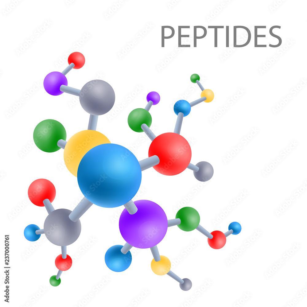 Peptide structure the structure of the amino acid, vector Stock Vector