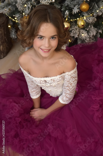 brunette girl sitting in a dress with a fluffy skirt by the Christmas tree at Christmas photo