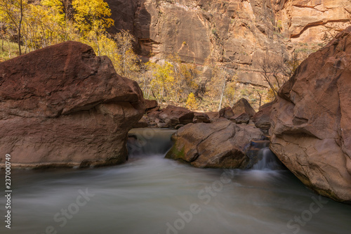 Virgin River Flows Trough Zion National Park in Autumn