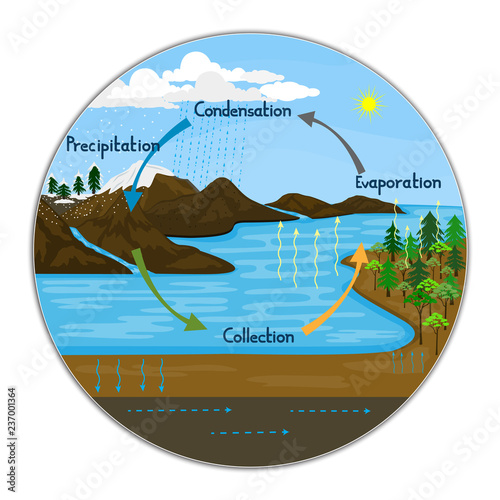 Water Cycle in nature