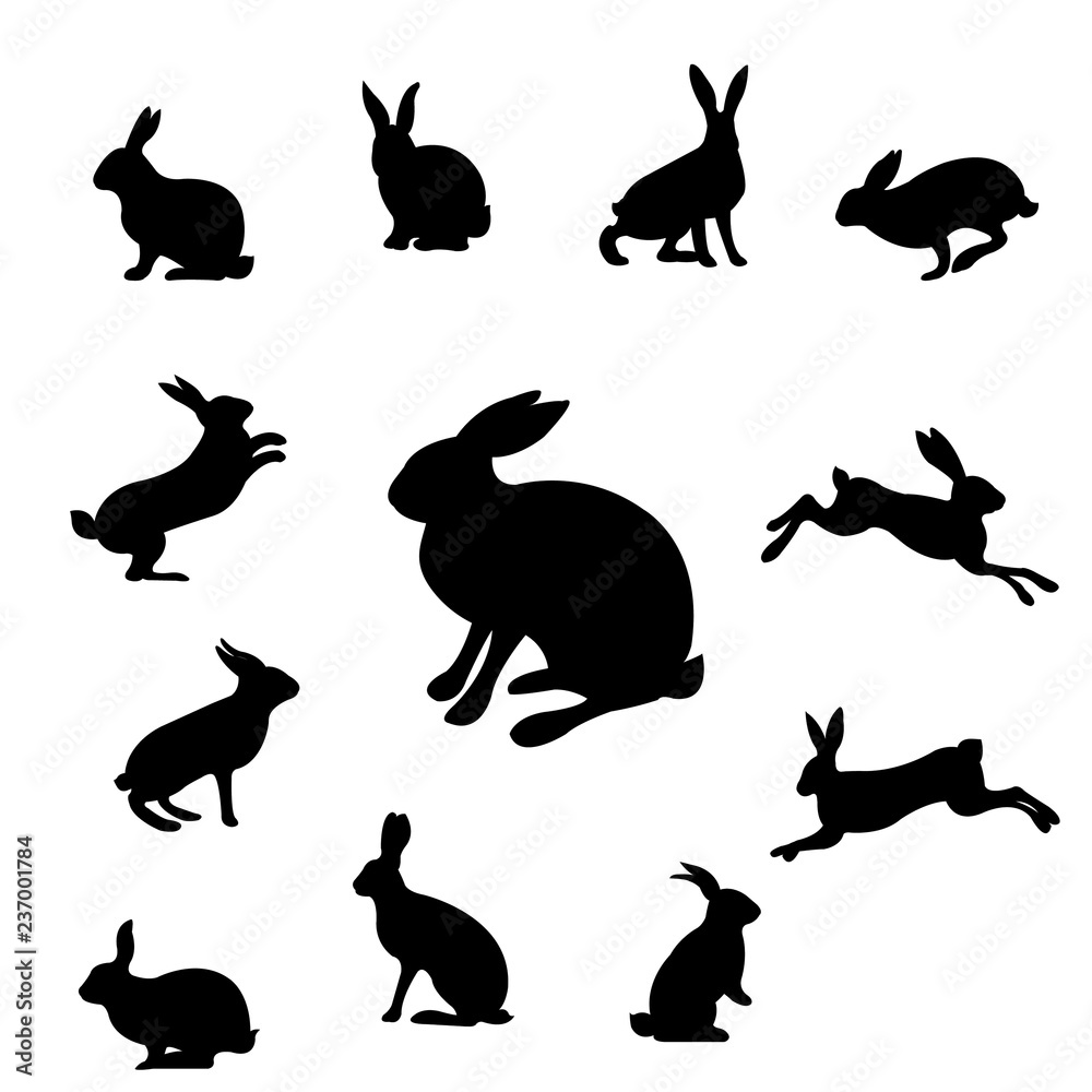 Naklejka premium Królik zestaw na białym tle