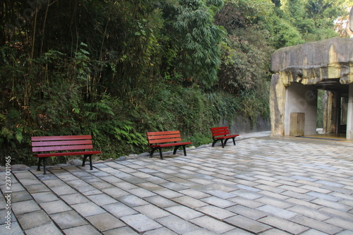 Waiting Area, wood Bench in the Park