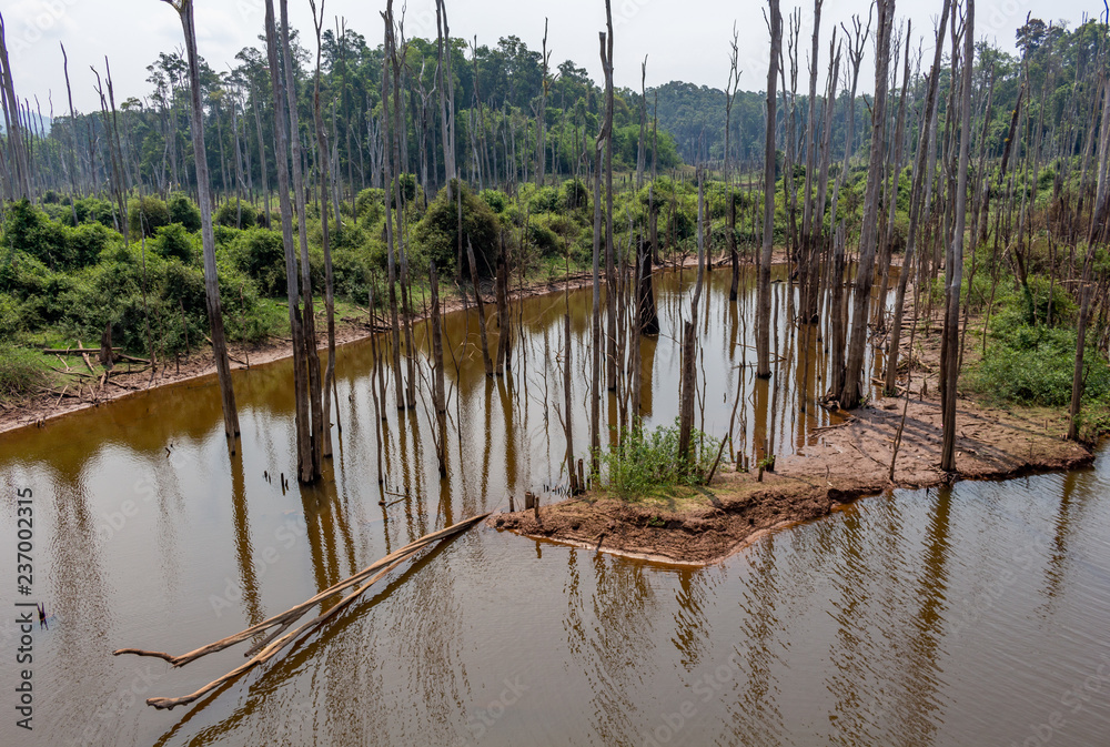 Thakhek southern Laos dead trees landscape