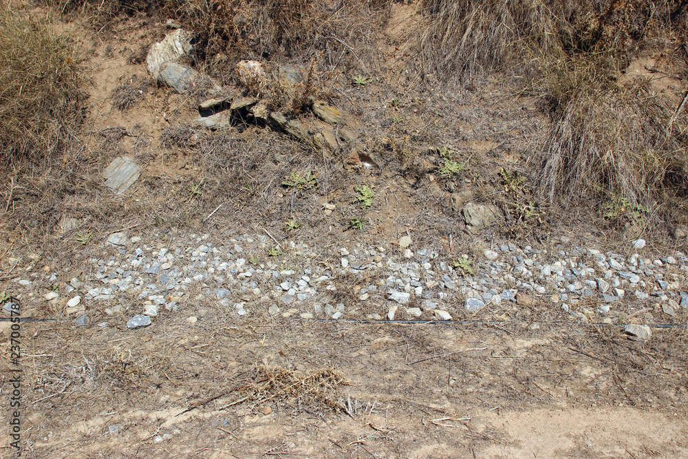 Eroded cliff roadside detail with rocks, gravel, dirt and vegetation landslide detail Eroded cliff roadside detail with rocks, gravel, dirt and vegetation landslide detail