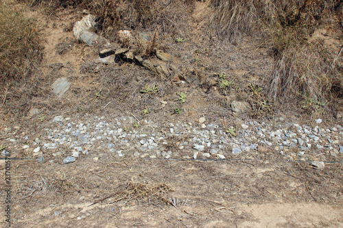 Eroded cliff roadside detail with rocks, gravel, dirt and vegetation landslide detail
