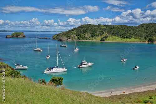 Sailboats in a peaceful New Zealand cove