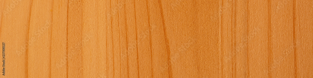Fototapeta premium Header Fichte natur 4:1